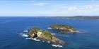 Tollgate Islands Nature Reserve - Batemans Bay - NSW (PBH4 00 16333)